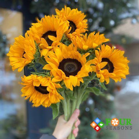 Букет из 9 подсолнухов (19)
